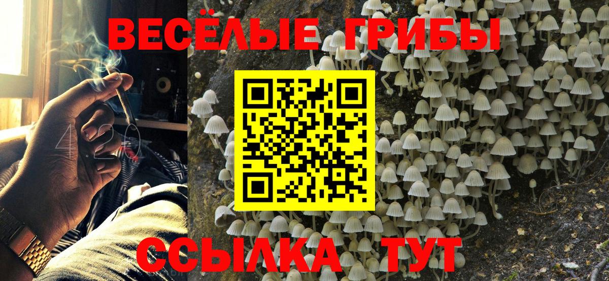 Галлюциногенные грибы Cubensis Подольск
